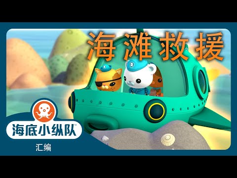 海底小纵队 - ☀️ 海滩救援 🤿 | 汇编 | 集完整版