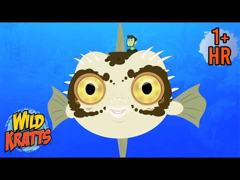 Deep Sea Creatures π | Sharks, Fish, and Frogs with Wild Kratts | 9 Story Kids