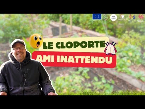 L'EMPLOYE DU MOIS : Le cloporte et la permaculture - Eveil Comesti Lab