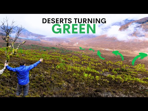 This Scottish Desert Is Coming Back To Life