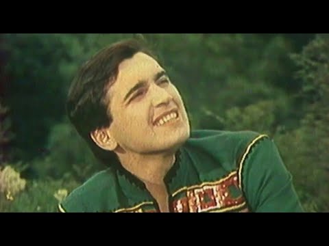 Назарій Яремчук, пісня Стожари [1981]
