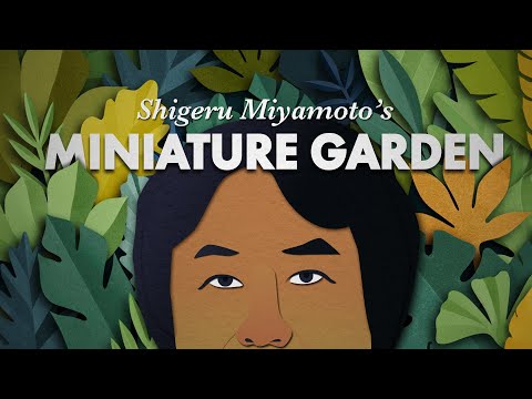 The Question No One Asks Shigeru Miyamoto | The Zelda Hakoniwa Theory