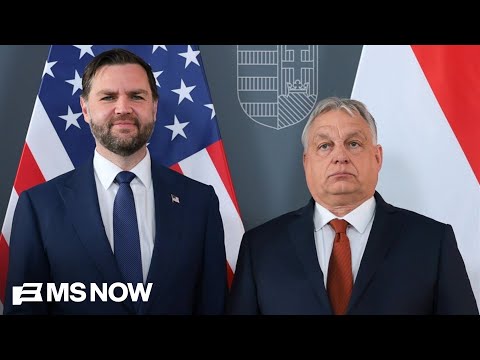 'STUNNING result': Orbán's LANDSLIDE defeat a huge win for democracy, major blow to Trump and Vance