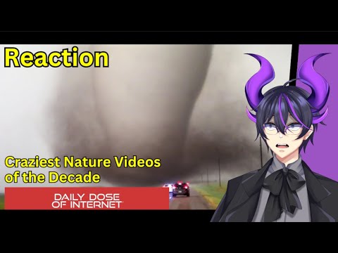 "Craziest Nature Videos of the Decade" | Kip Reacts to Daily Dose Of Internet