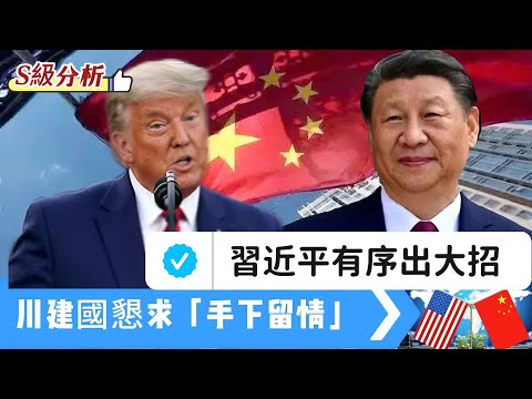【S級分析】習近平有序出大招！川普懇求「手下留情」！WTO陷入危急存亡之秋，世貿需要中國！美企離不開中國、稀土、黃豆招招見血！ 20251020 #大衛sir #唱雙簧 #天機 #處機入世 #學習中國