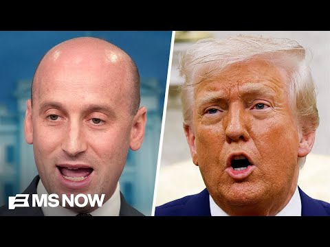'Strategy driven by Stephen Miller': Ex-GOP strategist reacts to birthright argument