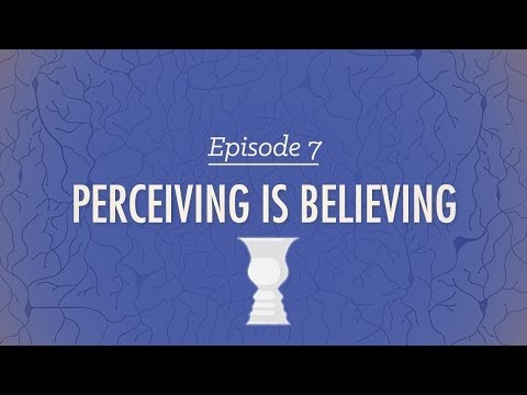 Perceiving is Believing: Crash Course Psychology #7