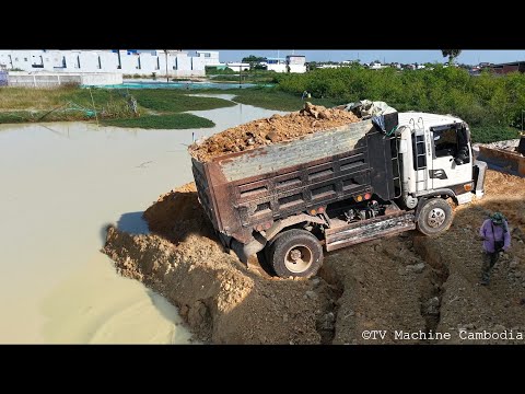 Incredible COMBINE Backfilling Construction Of Machinery DozerD31P & Truck 5T Spreading Into Water