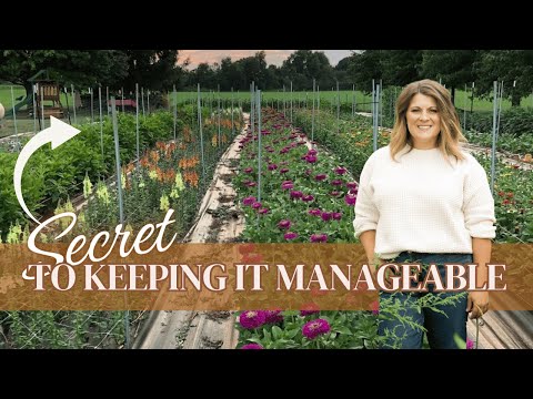 How I Manage a Giant Garden Without Losing My Mind