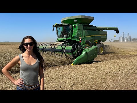 The Worst Harvest Conditions Yet