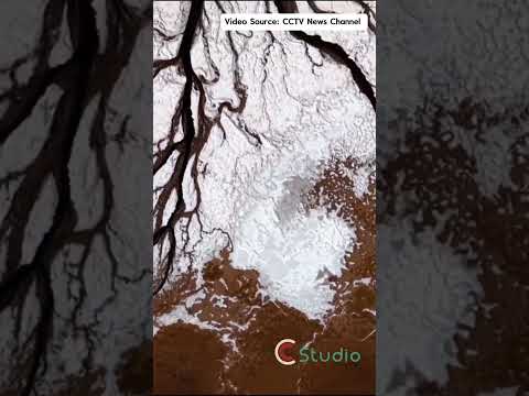 The Earth Grew a Tree 🌳 | Nature’s Art in Inner Mongolia #chinatravel #naturalwonders