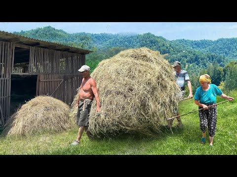 Hard Life in a mountain village of the Carpathians. The family prepares hay for the winter