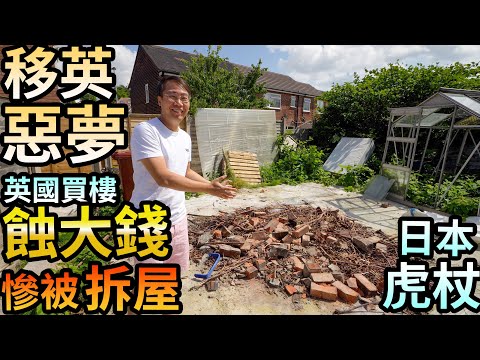 日本虎杖 英國房屋殺手☘️ 係點樣？有幾恐佈💀移英慘被拆屋🇬🇧買錯樓蝕大錢
