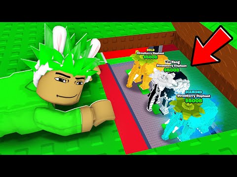 AVIVE gibt mir NEUEN STRAWBERRY ELEPHANT ?