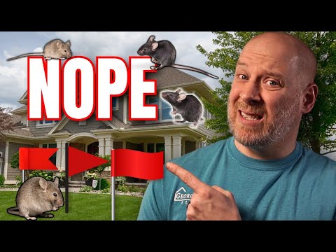 Watch For These RED FLAGS When Buying A Home