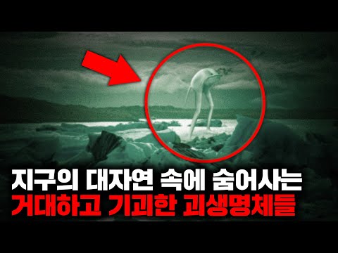 지구의 대자연 속에 숨어사는 거대하고 기괴한 괴생명체들 | 3월의 몰아보기