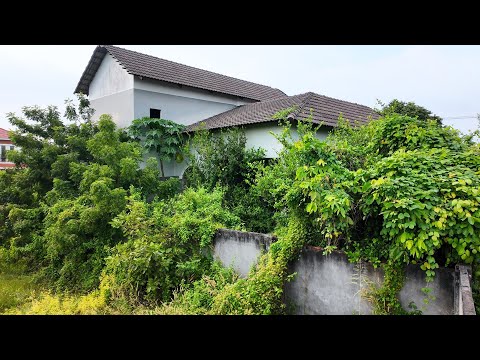 Abandoned for 10 Years — We Began Clearing This $1,000,000 Jungle Villa