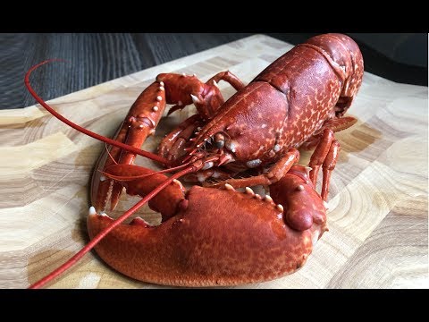 LOBSTER - How To Cook and Prepare a Live Lobster