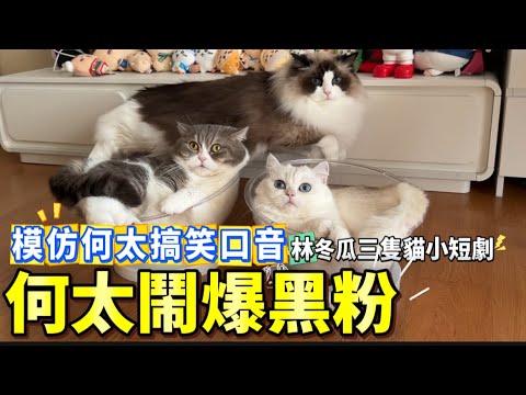 【最新模仿】何太鬧爆黑粉「左西右西🙀你地好淒涼🙀」阿門教何太開營利，阿門女友鄔幸兒曾是尼姑🙀何太心情大好！深圳吃火鍋讚何伯：你好靚仔皮膚又好！三隻貓小短劇 模仿何太搞笑口音