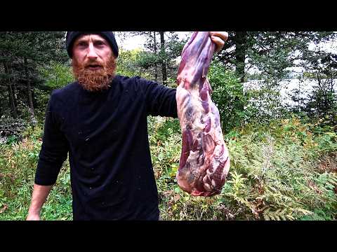 Black Bear Encounter: Close Calls & Hunting Strategies in the Backcountry