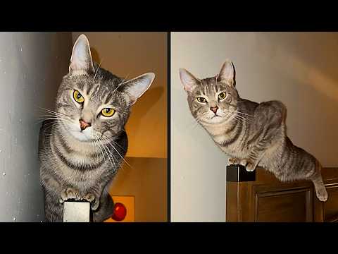 You Weren't Meant To See This