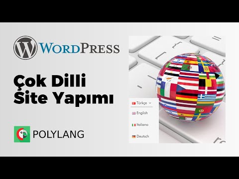 Polylang ile Çok Dilli Siteler Yapma 🌏 WordPress Ücretsiz Çeviri Dil Eklentisi
