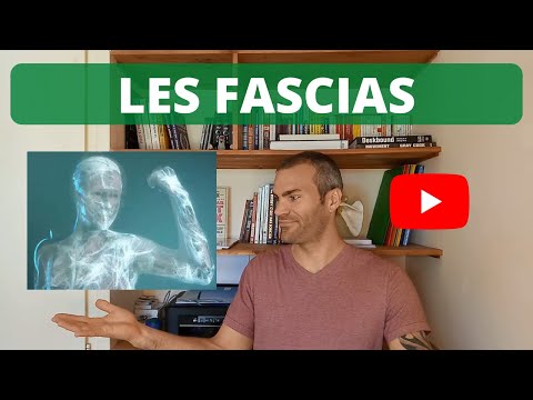 LES FASCIAS