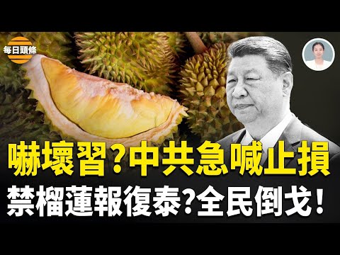 柬電詐園急掛五星旗  中共底牌全露？中國民眾：砸鍋賣鐵都買泰國榴蓮！粉紅罕見集體倒戈【每日頭條】