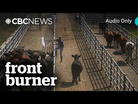 Is a global food crisis looming? | Front Burner