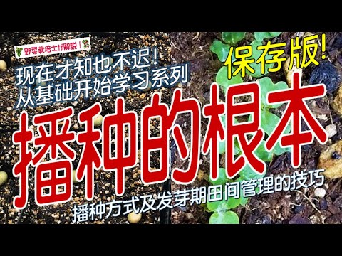 《播种的根本》 播种全攻略｜6大要点让种子100%发芽，轻松育出壮苗！