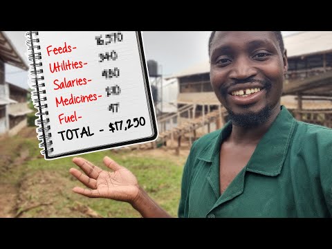 How Much it REALLY Costs  to run a 12,000 capacity Chicken Farm