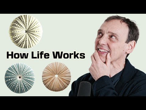 AI AGENCY ISN'T HERE YET... (Dr. Philip Ball)