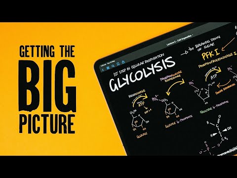 This TRANSFORMED the Way I Learn & Take Visual Notes on the iPad