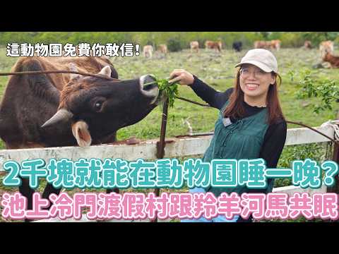 台東這動物園真的不用錢！池上平價版六福莊0元入場，跟河馬羚羊共眠$2000有找？還跟穿山甲一起夢幻散步？總經理霸氣包下整台拉拉車載我太帥啦！！