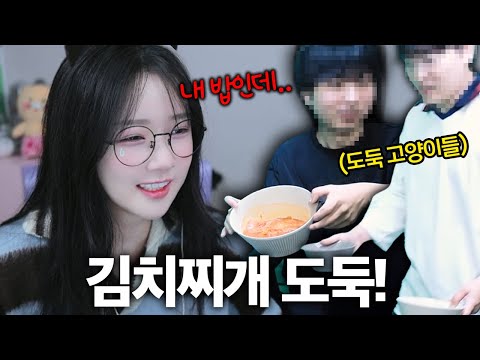 There's a thieving cat living in my house!!!