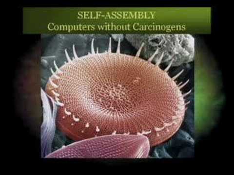 12 sustainable design ideas from nature | Janine Benyus