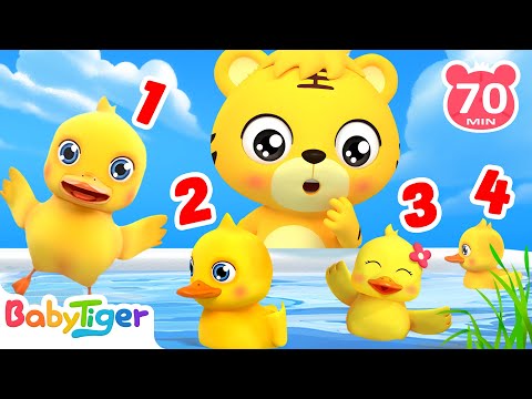【兒歌】數鴨子 + 更多兒歌🎵 | 調皮的小鴨子 | 兒童歌曲合集 | TOP熱門兒歌 | 幼兒音樂 | 童謠串燒 | 貝樂虎BabyTiger
