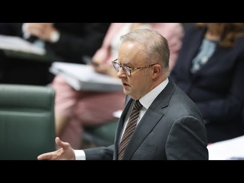 Reality ‘starting to creep in’ for Albanese government’s energy transition