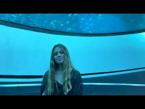 Si Hubieras Querido - Pablo Alborán (Cover) by Agustina Coretti & Fernando Flores