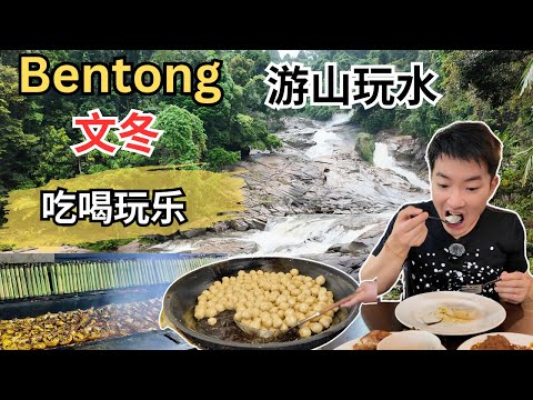 [Bentong文冬～半日游山玩水+美食] 逛巴刹！难忘的周新旭猪肠粉！开记云吞面！亚运粥店！莫大妈豆腐花！30号豆腐店！树屎粉呢？财神庙，广福庙求平安！打卡Chamang 瀑布，禅修林！