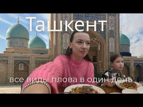 Tashkent Plov Hunt: What to Try and Where to Go with the Family