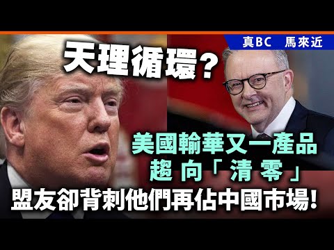天理循環？美國輸華又一產品趨向「清零」，盟友卻背刺他們再佔中國市場！