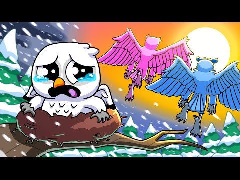 The OWL: ABANDONED at BIRTH... (Cartoon Animation)
