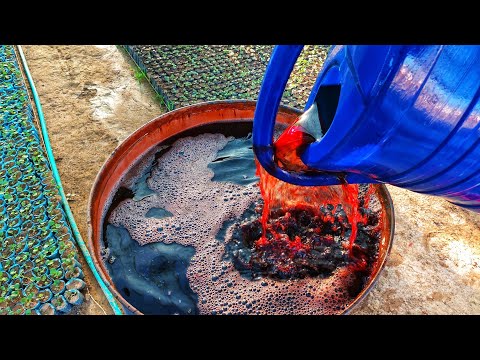 ЛУЧШЕЕ УДОБРЕНИЕ В МИРЕ ДЛЯ ЛЮБЫХ КУЛЬТУР. Бурный рост рассады обеспечен! От Томатов до Петунии.