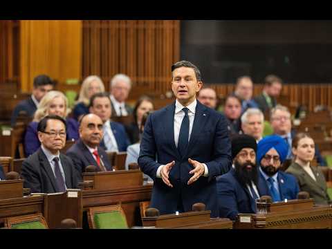 Le plan conservateur pour une épicerie abordable et un Canada abordable.