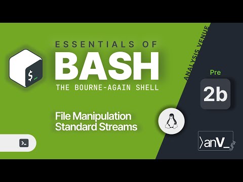 Learn BASH with simple examples | Linux Basics (Part 2)