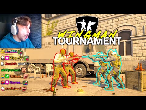 I hosted a STREAMER WINGMAN TOURNAMENT...