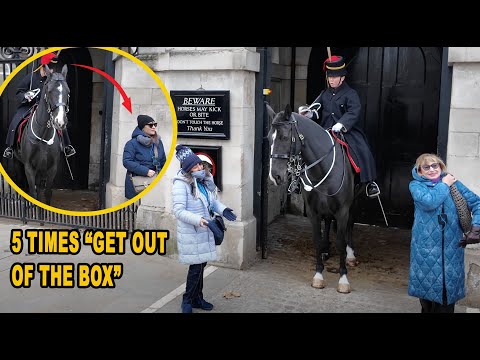 ❌ UNBELIEVABLE!! GUNNER SHOUTS 5 times at them then USES her horse to GET ONE OF THEM OUT OF THE BOX