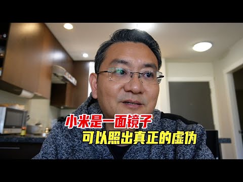 小米是一面镜子，可以照出真正的虚伪