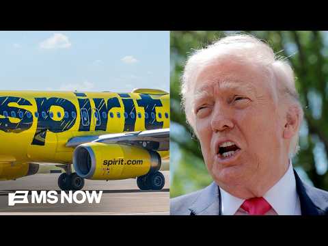 'Trump is socializing parts of our industry': WH nears $500M rescue deal for Spirit Airlines